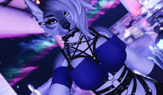 Aurora Wolf Furry Vrchat